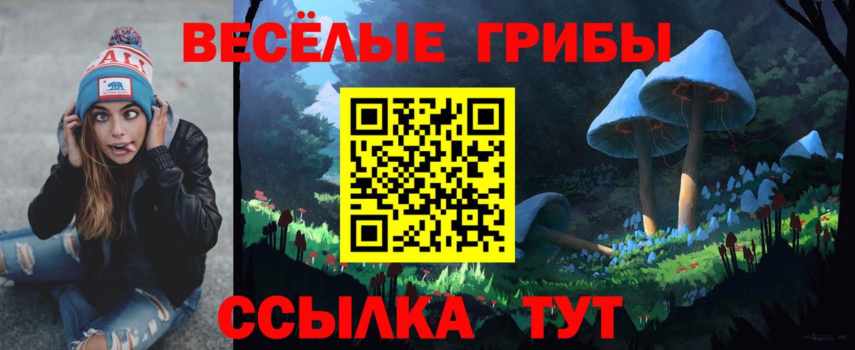 Псилоцибиновые грибы мухоморы Сосновый Бор