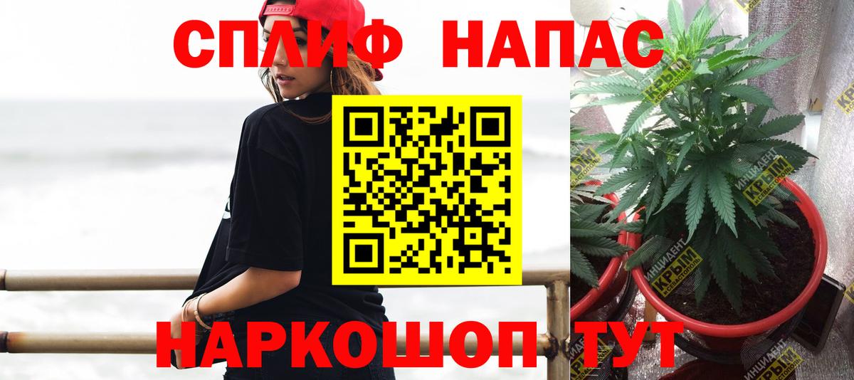 Бошки марихуана семена  Каннабис OG Kush  Канабис Amnesia  Вход с VPN  Бошки марихуана индика  Сосновый Бор 